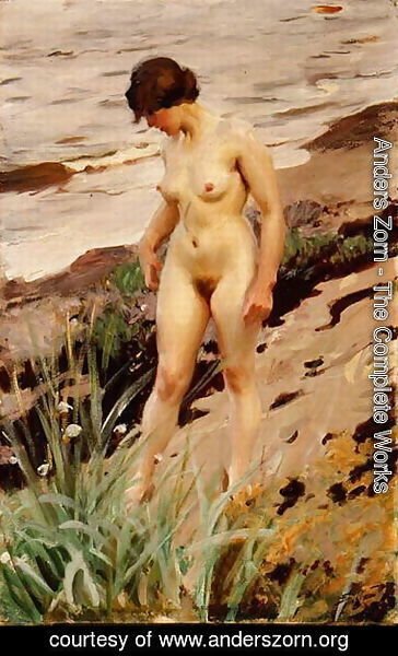 Anders Zorn - Nude by the Shore 1914