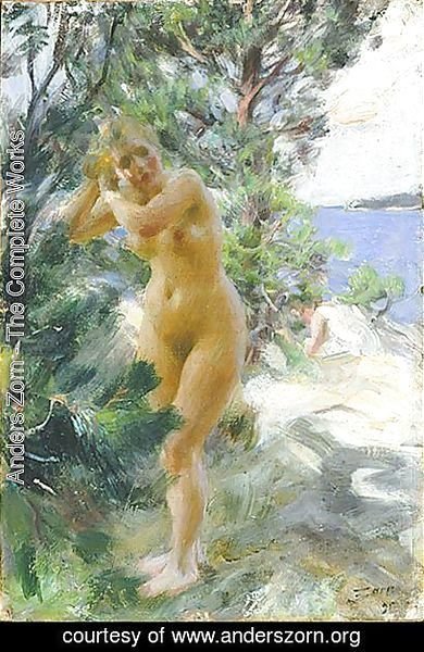 Anders Zorn - After the bath