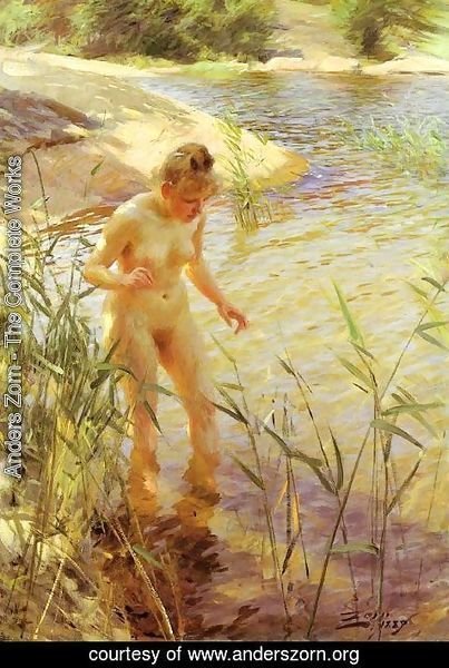 Anders Zorn - Reflections