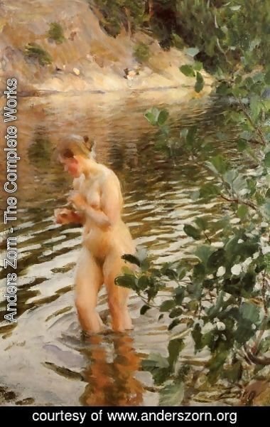 Anders Zorn - Sensitive to cold