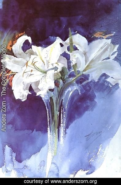 Anders Zorn - White Lilies
